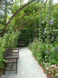 pin auf herbs vines shrubs