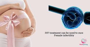 Image result for Female Infertility