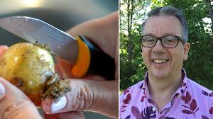 Färskpotatisen "fel" potatis