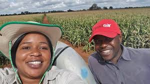 Ba FRA PLEASE PLEASE TWAPAPATA SANA FWEMA FARMS MUTWIBUKISHEKO BWINO THIS  YEAR 50 KG OF MAIZE 🌽 AT LEAST MULETUSHITAKO MULI K650 COZ SEED 10 KG OF  MAIZE 🌽 TWALESHITA K750 FERTILIZER