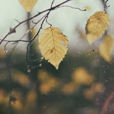 This video shows you how to pronounce precipice How To Pronounce Say Jericho By Bible Speak Pronunciation