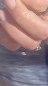 The Couple That Digs Together