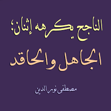 كلام حكم الناجح يكرهه إثنان الجاهل والحاقد مصطفى نور الدين quotes mindfulness moody