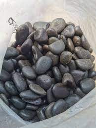 Pemulung to billionaire!dulunya seorang pemulung, kini paidi merupakan miliarder dari hasil bisnis tanaman porangpaidi mulai fokus di bisnis porang sejak tah. Batu Sungai Hitam Putih River Stone Black White Polish Decoration Deco Lanskap Kubur Hiasan Taman Garden Rock Akuarium Shopee Malaysia