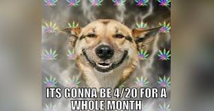 They called themselves the waldos, and they toked so we could rip. 4 20 All Month Memes To Celebrate April 2020 Hilarious Memes Inside
