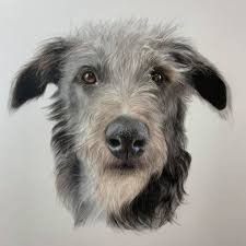 How to draw a shepherd with colored pencils? Five Top Tips For Beginners Starting Their Coloured Pencil Journey
