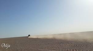الصحراء Natural Landmarks Country Roads Landmarks