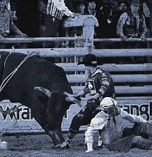 Gallery: Alberta Talent Lines Roster At Calgary Stampede Rodeo - Okotoks &  Foothills News