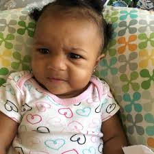 Misbehaving Cat's Antics