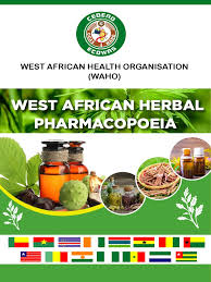 Image result for Synadenium pereskiifolium