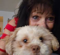 Rescue dog saves owner from depression