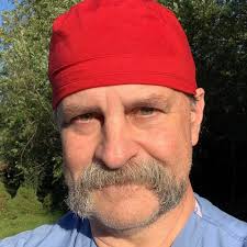 What is the identity of the fungus growing