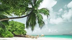 Check spelling or type a new query. Hd Wallpaper Beach Tropical Island Tropical Beach Cloud Lagoon Sea Wallpaper Flare
