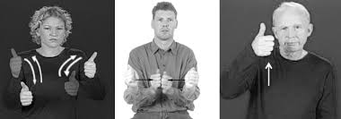 In this context, asl stands for. Sign Language Phonological Variation And Change Chapter 8 Sign Language Phonology