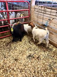 Some of what is here 8/10/2024