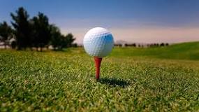 Image result