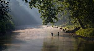 You have two ways of doing so. How We Protect Watersheds