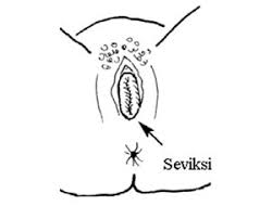Where is the g spot. 5 Utaratibu Wa Kumhudumia Mama Baada Ya Kuzaa View As Single Page