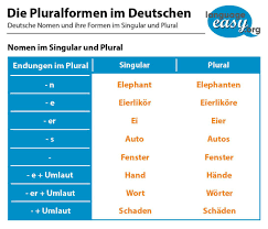 German Plural Learn German German Grammar German Language Learning