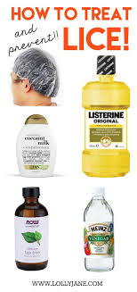 how to treat and prevent lice