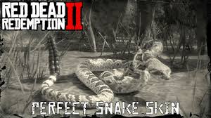 The snake is a small sized animal in red dead redemption 2 05.12.2018 · in this video i show you how to get perfect snake skins in rdr2. Red Dead Redemption 2 Perfect Snake Skin Youtube