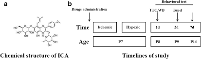 When the ac input voltage is in normal condition, ica. Chemical Structure Of Ica And Experimental Design A Chemical Structure Download Scientific Diagram