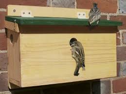 Make the holes large enough to serve as ventilators. The Nhbs Guide Where To Hang And How To Maintain Your Nest Box