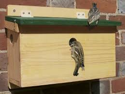 Make the birds feel right at home with nature. The Nhbs Guide Where To Hang And How To Maintain Your Nest Box
