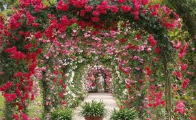 Optische Tauschung Die Wichtigsten Gestaltungstricks Garten Planen Bauerngarten Diy Garten