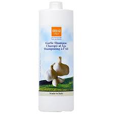 Pengedar sah sahajidah hai o, kuala lumpur, malaysia. Amazon Com Ever Ego Italy Garlic Shampoo Plus Vitamin A 33 8 Ounce Hair Shampoos Beauty