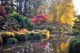 Jardin De Haute Bretagne Article Reserve Aux Abonnesc Est Lors D Un Tournage A Kanazawa Au Japon Dans Le Jardin Seigneurial De Pictures Outdoor