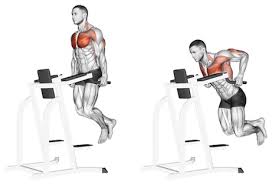 Welche übungen eignen sich für ein sinnvolles brusttraining?. á… Untere Brust Trainieren Top 5 Ubungen Bilder Videos