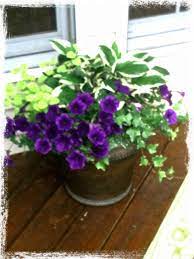 Pin By Susan Peterson On Outdoor Flower Container Ideas Flower Pots Outdoor Patio Flowers Garden Containers