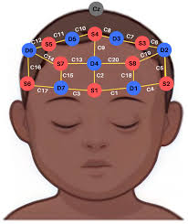 A Novel Exploratory Graph-Based Analytical Tool for Functional  Near-Infrared Spectroscopy in Naturalistic Experiments: An Illustrative  Application in Typically Developing Children