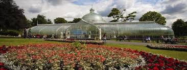 Cactus and succulent update june 2018 part 1. Orchid Fair At Botanics Coming Of Age Glasgow City Council