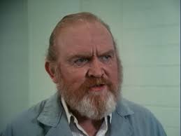 Murder She Wrote: We're Off to Kill the Wizard