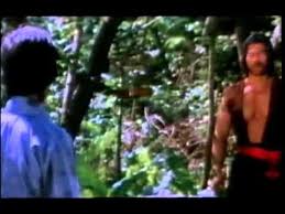 Kung Fu Movies In English Full Length Youtube Kung Fu Movies Kung Fu Movies