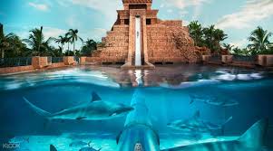 The customized packaging division of the d'nonce group of companies was started by attractive venture sdn bhd. Atlantis Aquaventure Water Park Day Pass Klook Malaysia