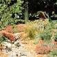 How We Planned, Planted and Now Care for our...