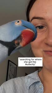 Hamlet the Annoying Parrot