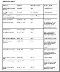 Business Plan Milestones Execution