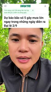 Bão Ngay Dịp Lễ: Tin Tức Mới Nhất