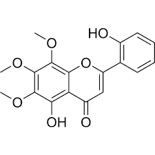 Image result for Cleistochlamys