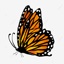 We did not find results for: Cartoon Style Monarch Butterfly Clipart Orange Butterfly Monarch Butterfly Clip Art Cartoon Butterfly Monarch Butterfly Png Transparent Clipart Image And Psd File For Free Download