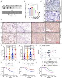 Image result for tbn:InRtqFneI1g0WM::kora.alhnuf.com/attachments/505d1265455719-%D9%83%D8%B1%D9%8A%D9%85-%D8%B2%D9%8A%D8%A7%D9%86%D9%8A-%D8%B5%D9%88%D8%B1