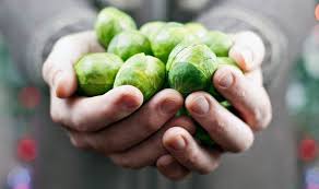 Maybe you would like to learn more about one of these? Can You Freeze Brussels Sprouts Express Co Uk