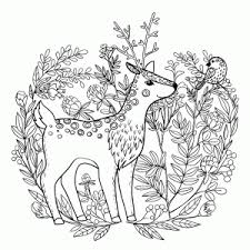 Een zeer leuke kleurplaat om tijdens valentijn als kado aan je vriend/vriendin te geven. Dieren In Het Bos Kleurplaten Leuk Voor Kids