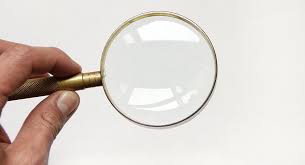 Resultat De Recherche D Images Pour Loupe Loup