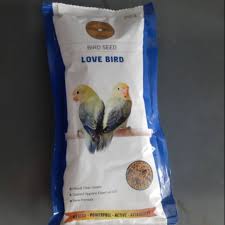Pakan gold coin lovebird 5. Harga Gold Coin Lovebird Terbaik Mei 2021 Shopee Indonesia