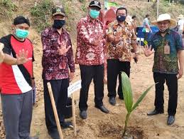 Jadi, mari kita tengok apakah 10 jenis tanaman yang menguntungkan di malaysia kalau ditanam sendiri Penanaman Peremajaan Tanaman Kelapa Dan Peresmian Rintisan Agrowisata Terpadu Di Kub Tiwi Manunggal